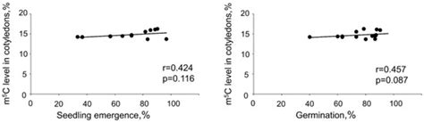 Identification of DNA Methylation Changes in European Beech Seeds ...