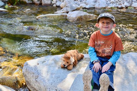 Simple Stories in Spanish: Toothclaw y el arroyo Grizzly - Small Town ...