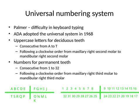 Image result for Tooth Numbering System