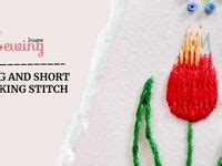 Short Tacking 的图像结果