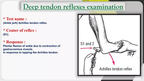 Skill lab physiology (motor examination tests) | PDF | Death, Injury ...