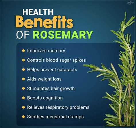 Health Benefits of Rosemary | Rosemary health benefits, Tea health benefits, Health benefits