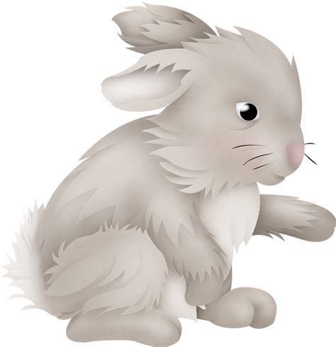 【兔子图片】可爱大灰兔第二弹_兔子图片_萌宠图片_秀宠网