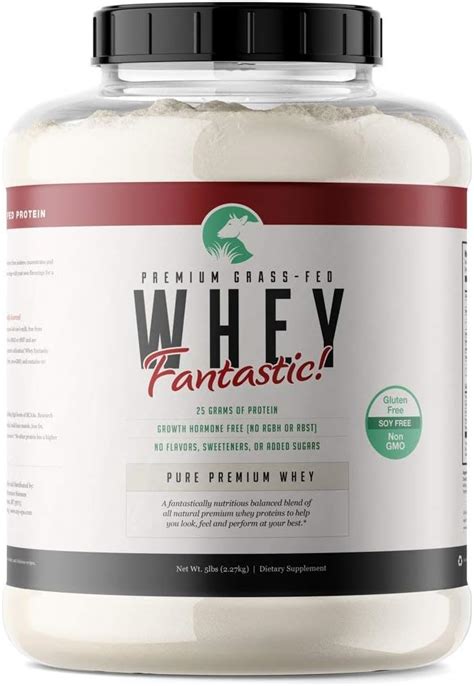 Buy Whey Fantastic 5LB 100% Pure Grass Fed Whey Protein - Unflavored ...