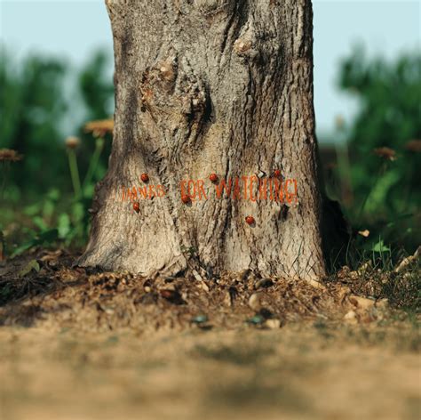 Image result for NVIDIA Studio