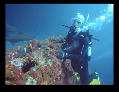 Fish Rock Dive Centre (South West Rocks) - All You Need to Know BEFORE ...