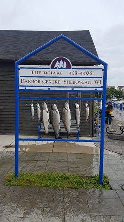 Sea Dog Sportfishing Charters of Sheboygan - 2022 What to Know Before ...