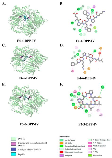 ACE- and DPP-IV-Inhibitory Peptides from Bambara Groundnut Hydrolysate ...