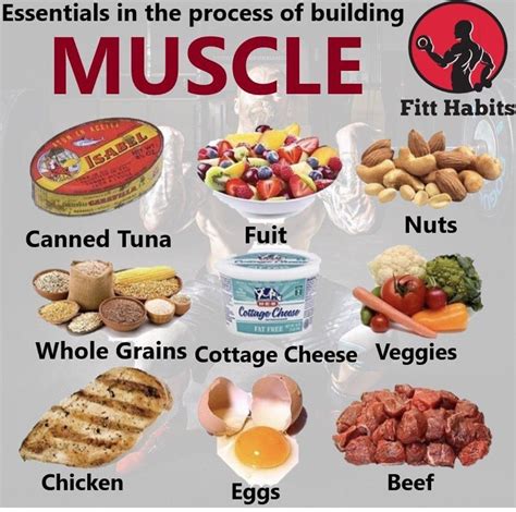 Snack Food For Bulking at William Santos blog