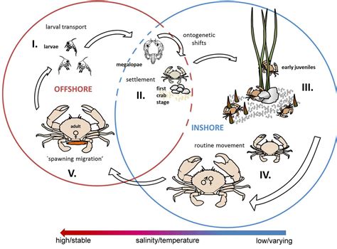 Figure 3 - from Life-history, movement, and habitat use of