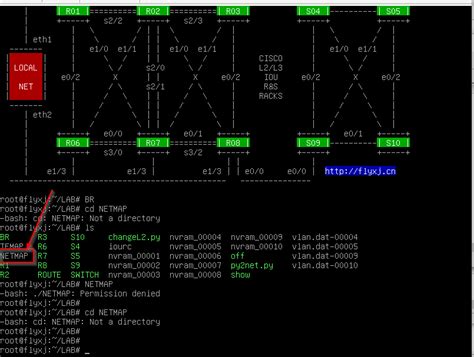 Image result for NDM Netmaps On a Linux Server