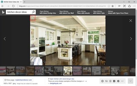 Bing Image Search 的图像结果