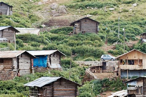 Village 的图像结果