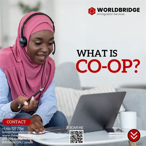 Co-operative Work Experience 的图像结果