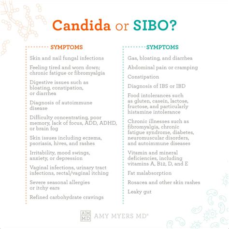 How Do I Know If I Have Candida or SIBO? | Amy Myers MD
