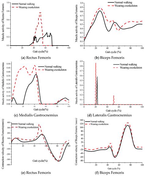 Research on the Influence of Exoskeletons on Human Characteristics by ...