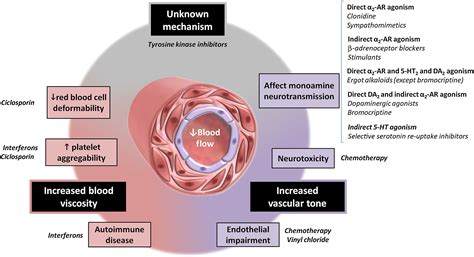 Drug‐induced Raynaud's phenomenon: beyond β‐adrenoceptor blockers - Khouri - 2016 - British ...