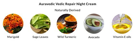 Auravedic Vedic Repair ANTI-PIGMENTATION Natural Night Cream,Reduces ...