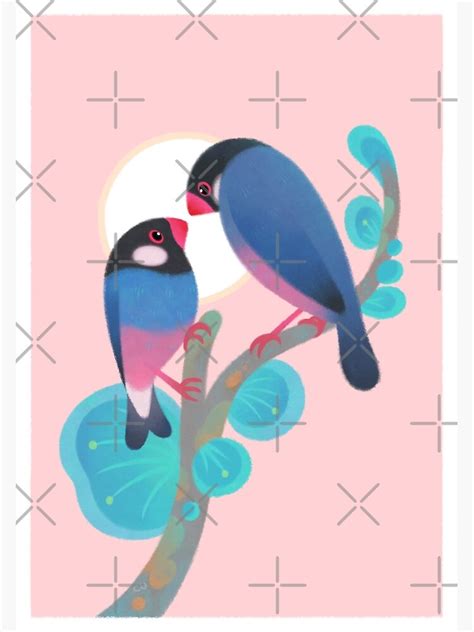 Google Images Java Sparrows 的图像结果