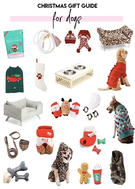 28 amazing gifts your dog will love – Artofit
