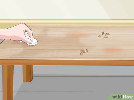 Image result for How to Clean Shellac Primer