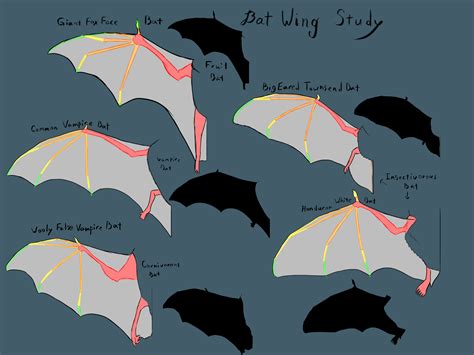 Image result for Bat Wing Pattern