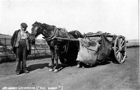 Searching Picture Sheffield