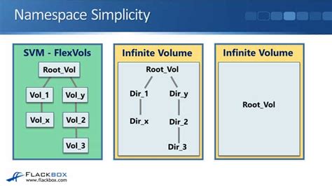 Image result for NetApp FlexVol