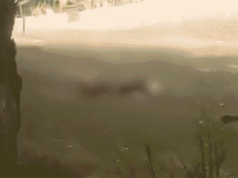 India will take revenge for the Pahalgam attack