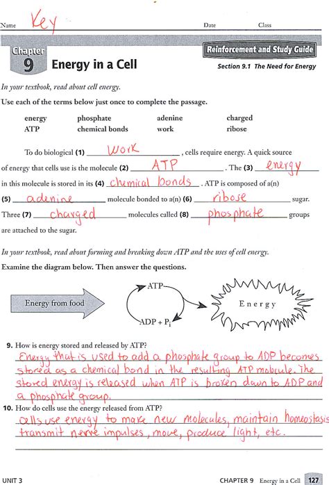 Jr Tutorials 9th Science 7 Th Lesson 的图像结果