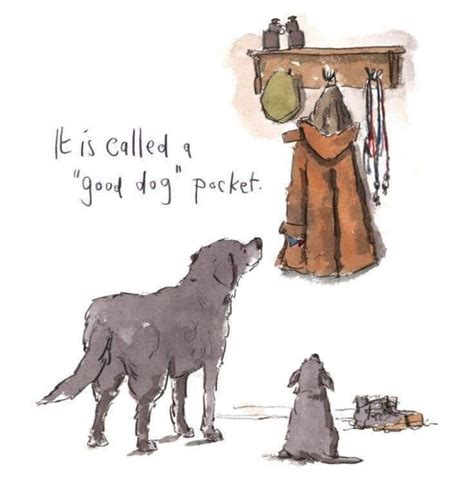 PUPPY BASICS CLASS, Marshall and Pringle Kaiapoi, 12 September 2024 ...