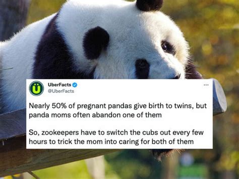 Crazy Fun Stuff 的图像结果