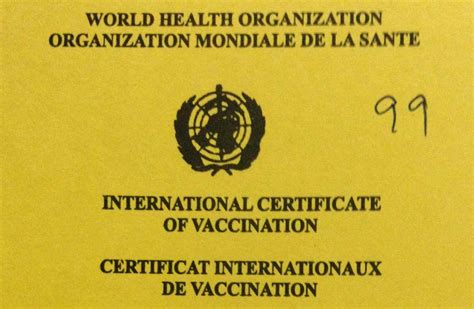 Yellow Fever Vaccination Requirements from India - Chalo Africa