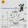 Give an example of food chain of lake? - Brainly.in