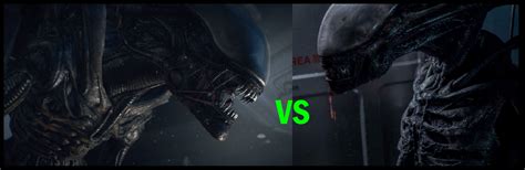 Image result for Xenomorph vs Protomorph