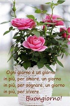 frasi e fiori buongiorno un fiore per te mariella forever frasi e fiori buongiorno un fiore per te mariella forever