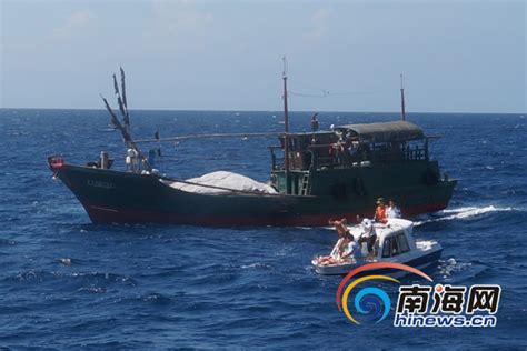 越南海滩现巨鲸尸体 渔民出动挖掘机埋葬(高清组图)-国际在线