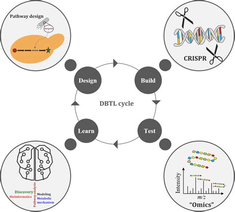 Image result for Design Build Test Learn