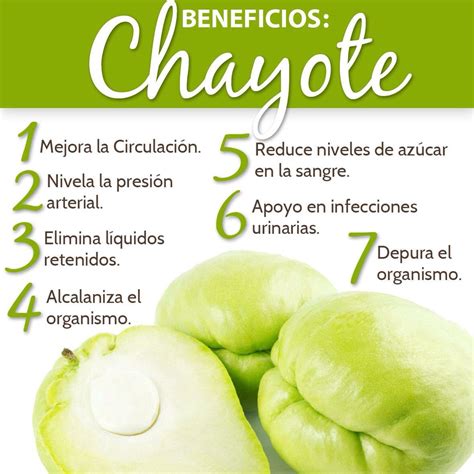 Chayote | Chayote beneficios, Agua de manzana y canela, Beneficios de ...