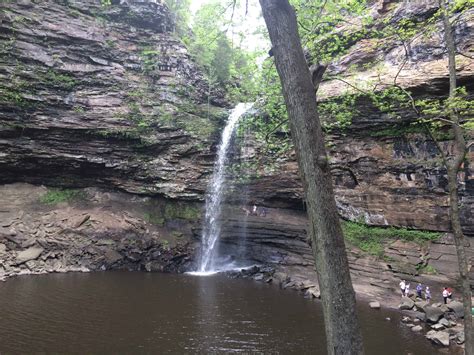 Best Things To Do In Bentonville, Arkansas with Joe Saul-Sehy - We ...