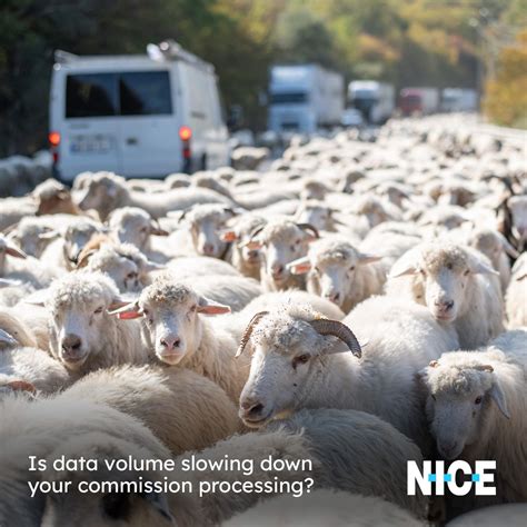 Image result for SPM Incentive Management Tutorial