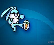 Image result for Bunny Images. Free
