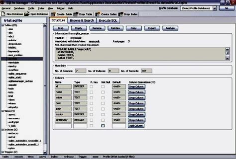 DB Browser for SQLite Open Decrypted DB 的图像结果