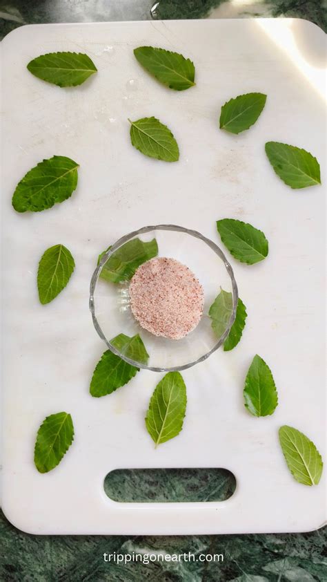 Quick & Easy Basil Salt Recipe - Tripping on Earth