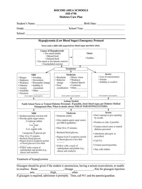 Fillable Online Care Plan - Diabetesdocx Fax Email Print - pdfFiller