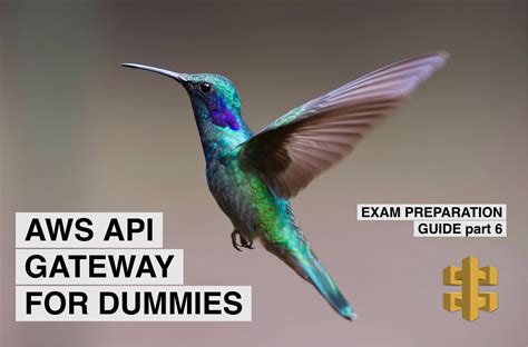 Image result for API For Dummies
