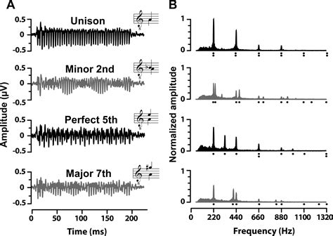 Neural Correlates of Consonance, Dissonance, and the Hierarchy of ...