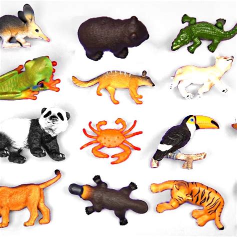 Image result for Scikit Python Zoo Animals Dataset