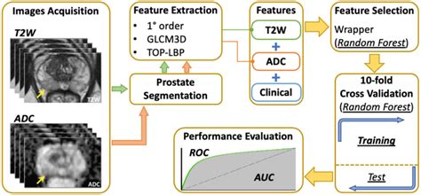 Algorithm Learning Process 的图像结果