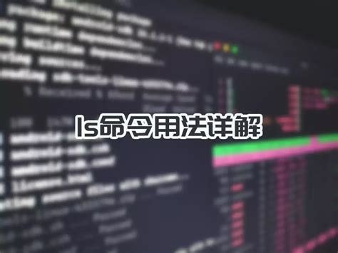 Basic Linux Commands LS 的图像结果